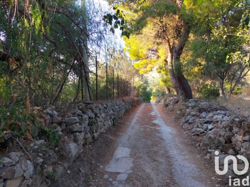 Terrain à bâtir à Torretta