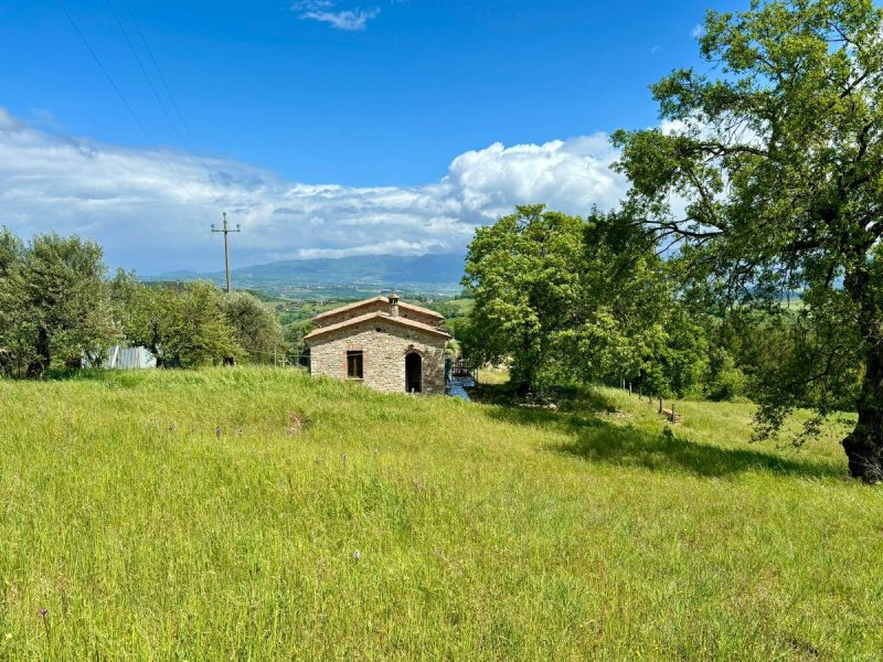 Detached house in Todi