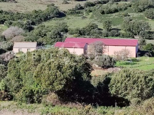 Farm in Arzachena