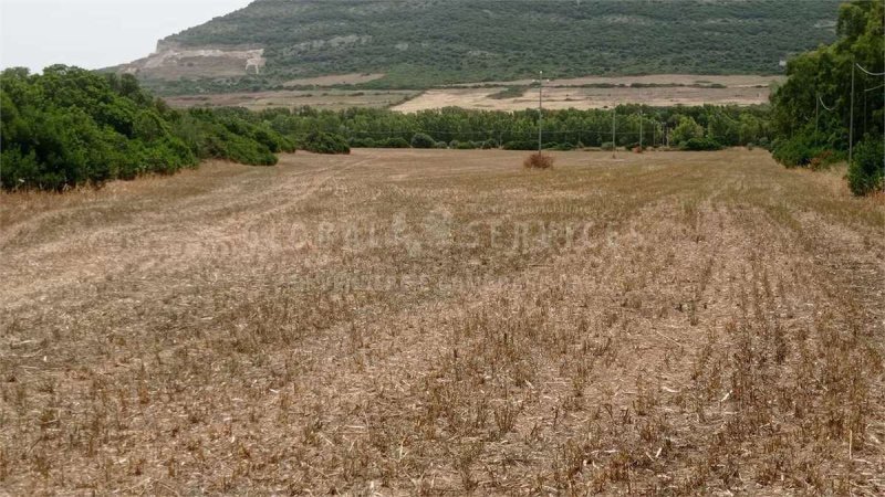 Landbouwgrond in Alghero