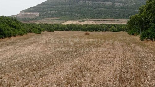 Terreno agrícola en Alguer