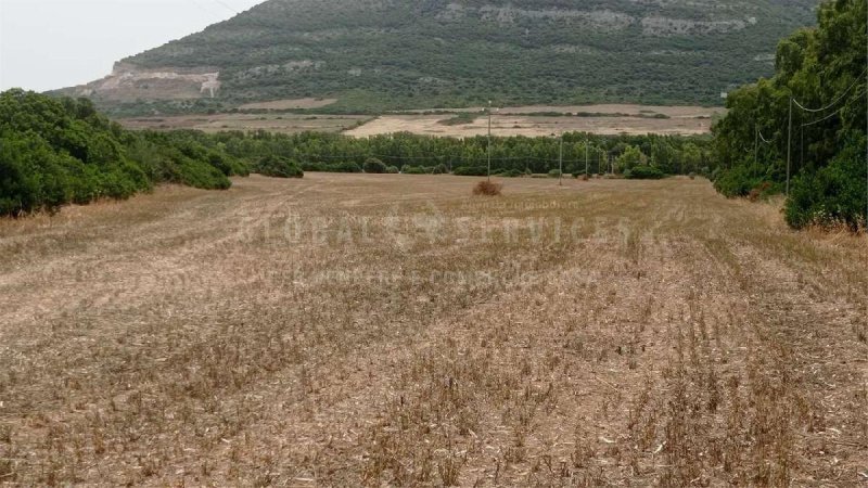 Landbouwgrond in Alghero