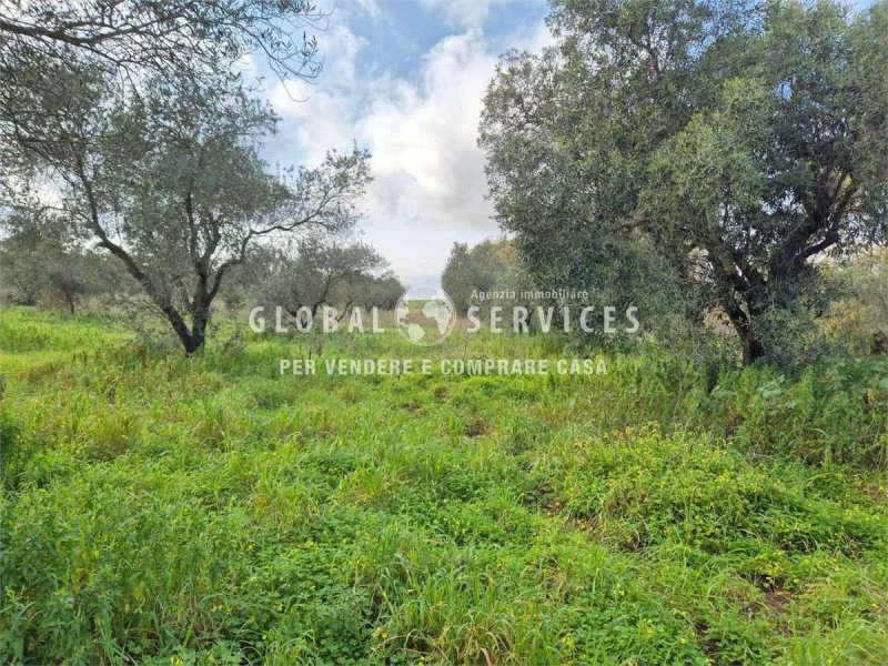 Сельскохозяйственный участок в Альгеро