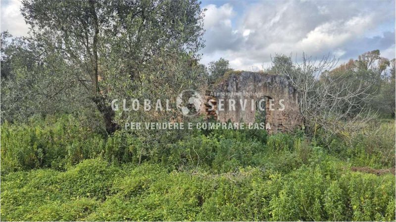 Terreno agrícola em Alghero