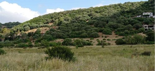 Terreno agrícola em Alghero