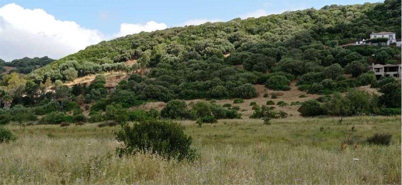 Terreno agrícola em Alghero