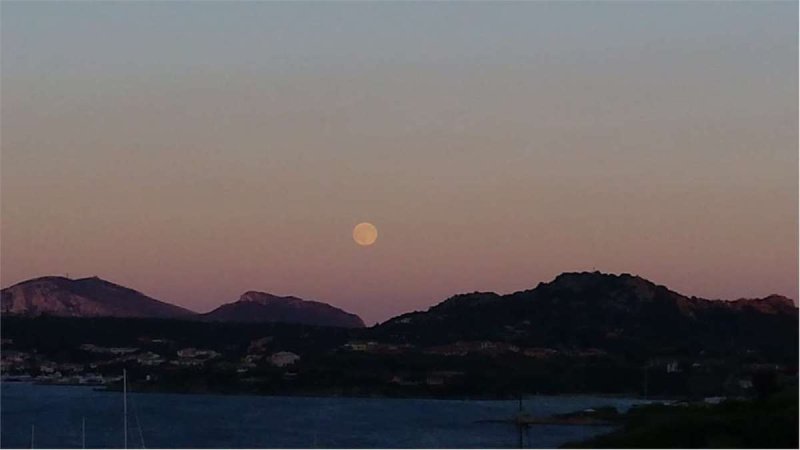 Appartement à Olbia