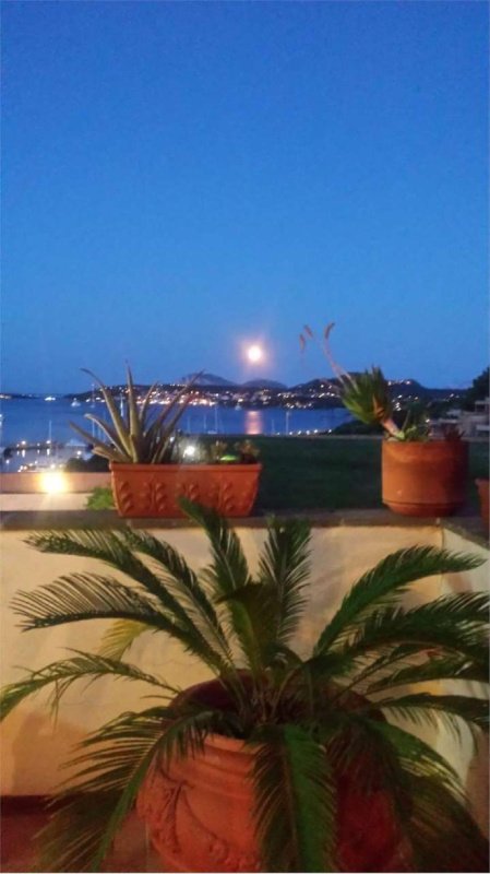 Appartement à Olbia