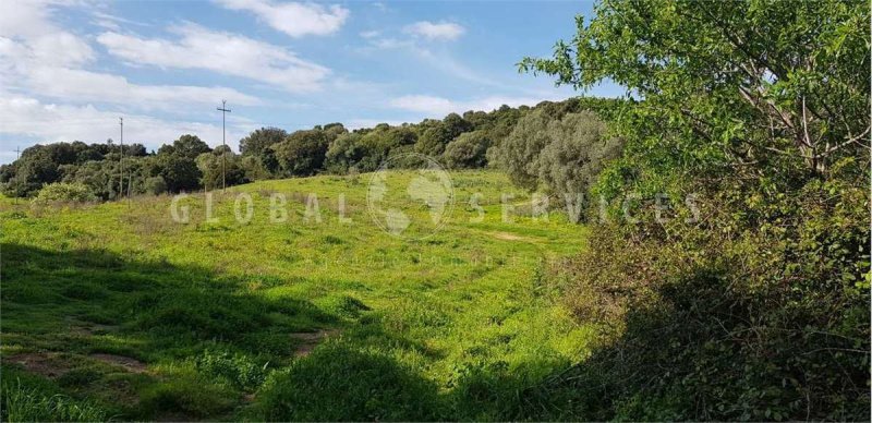 Terreno agricolo a Arzachena