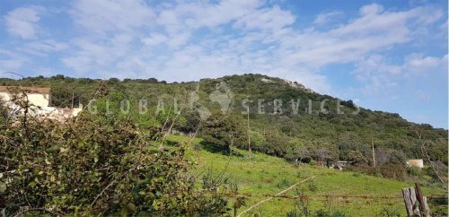 Terreno agricolo a Arzachena