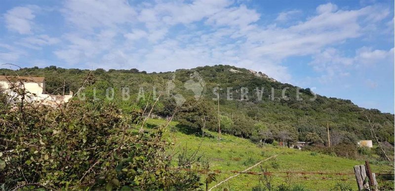 Terreno agricolo a Arzachena