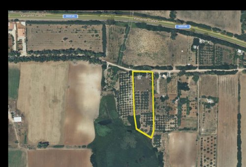 Terreno agrícola en Alguer