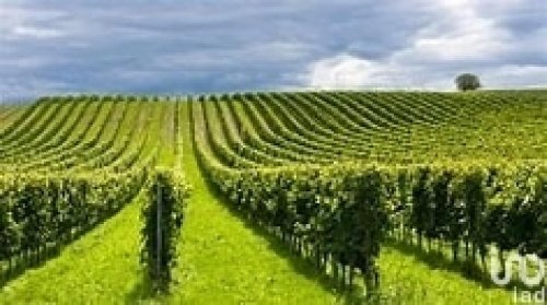 Terreno agrícola en Cavriana