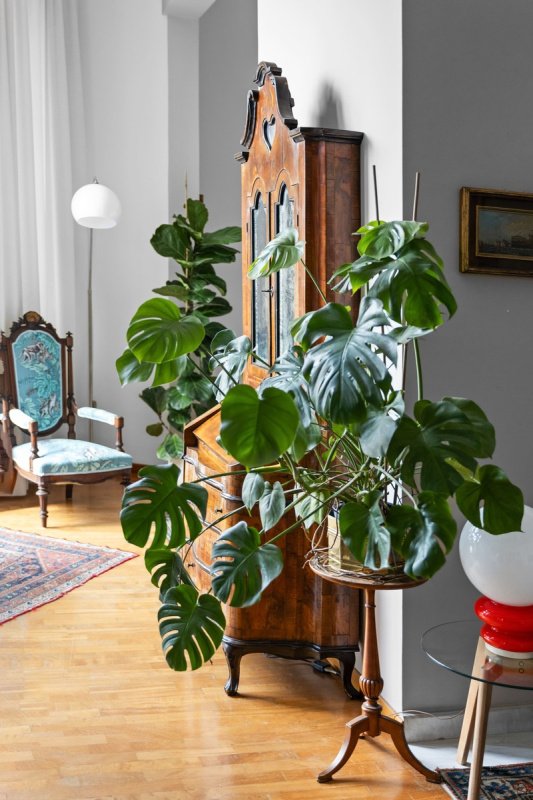 Historisch appartement in Galatone