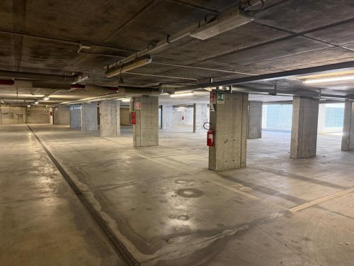 Basement in Genoa