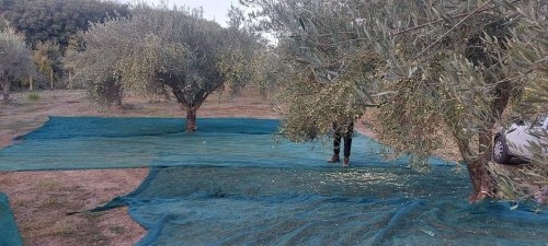 Huis op het platteland in Castiglione di Sicilia