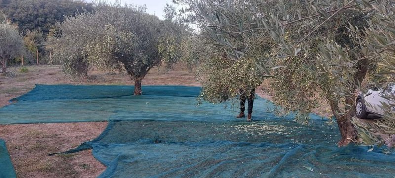 Hus på landet i Castiglione di Sicilia