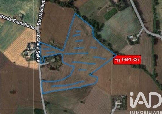 Bauland in Montecosaro