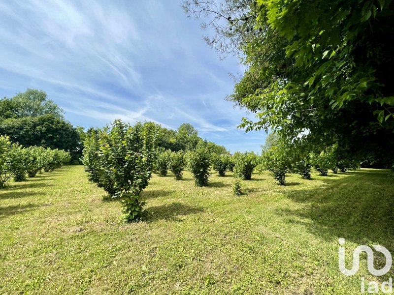 Agricultural land in Chiarano