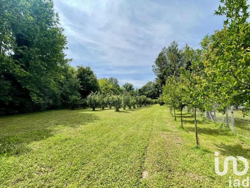 Agricultural land in Chiarano