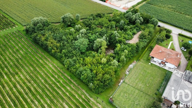 Terreno agrícola em Pramaggiore