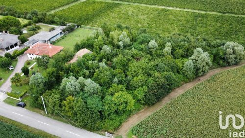 Terreno agrícola em Pramaggiore