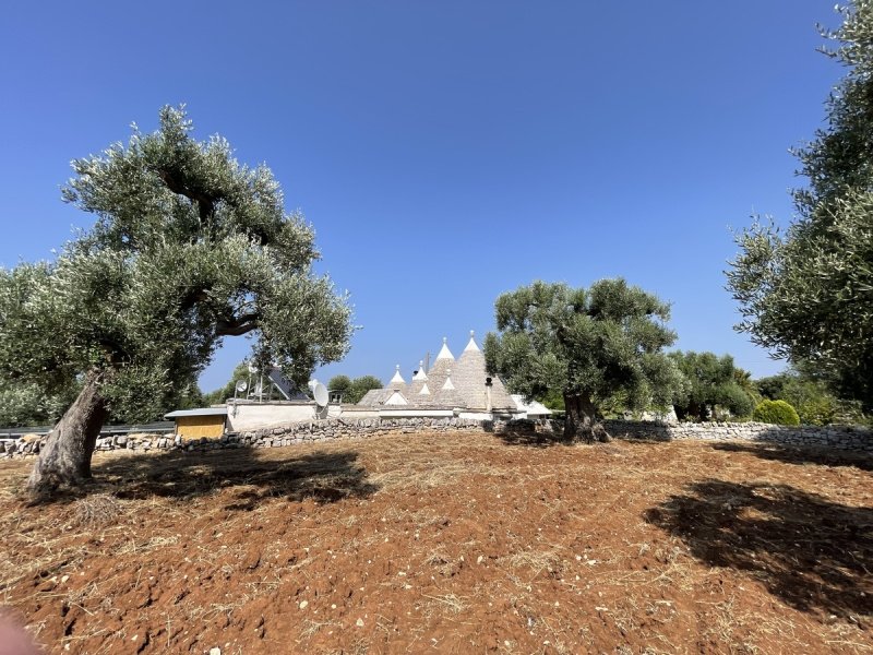 Trullo i Fasano