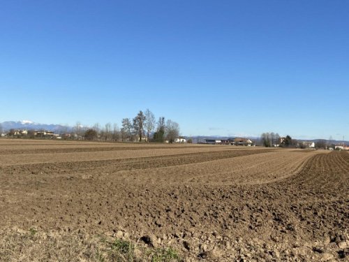 Landbouwgrond in Cologna Veneta