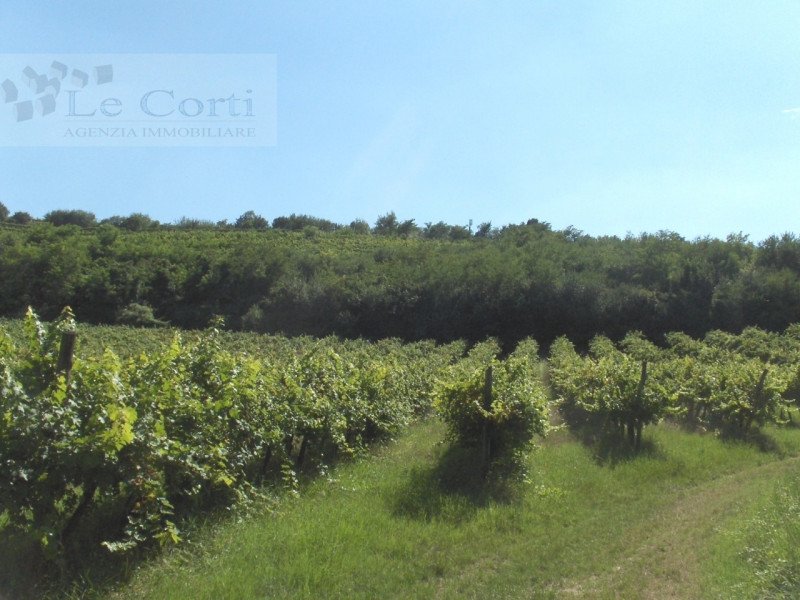 Terreno agricolo a Val Liona