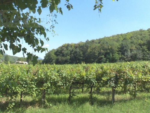 Landbouwgrond in Val Liona