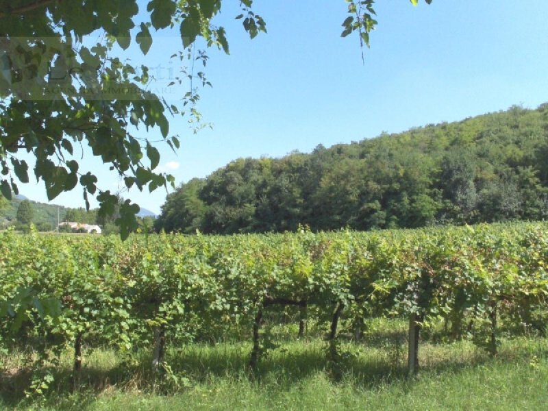 Landwirtschaftliche Fläche in Val Liona