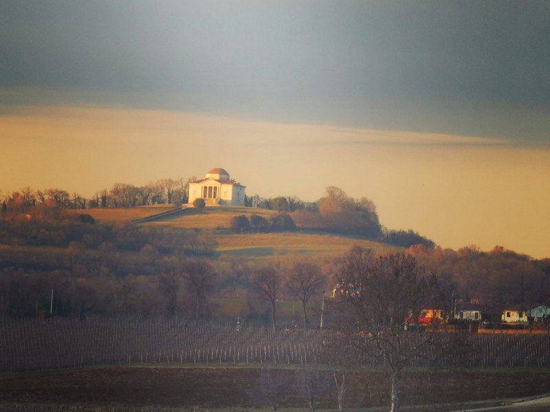 Terreno edificabile a Lonigo