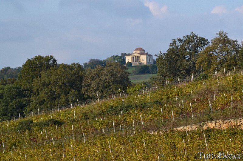 Terreno edificabile a Lonigo