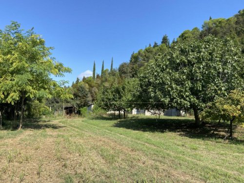 Country house in Sossano