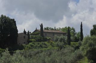 Azienda agricola a Vinci