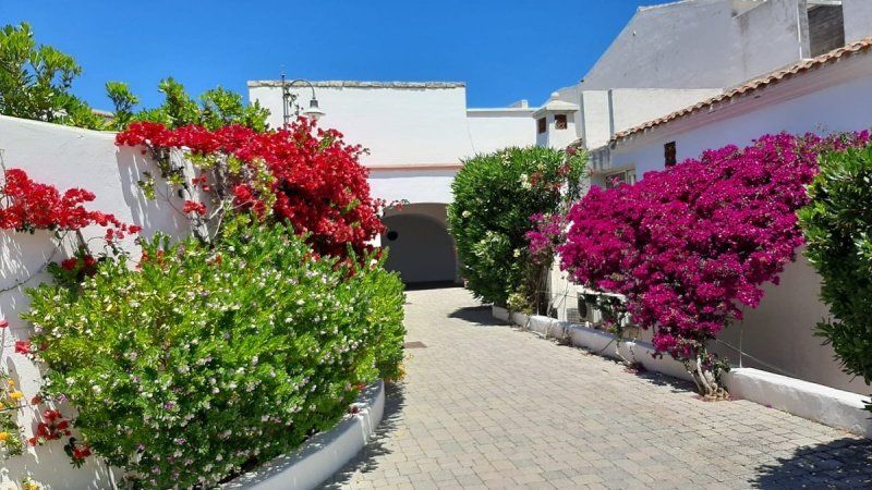 Apartamento em Santa Teresa Gallura