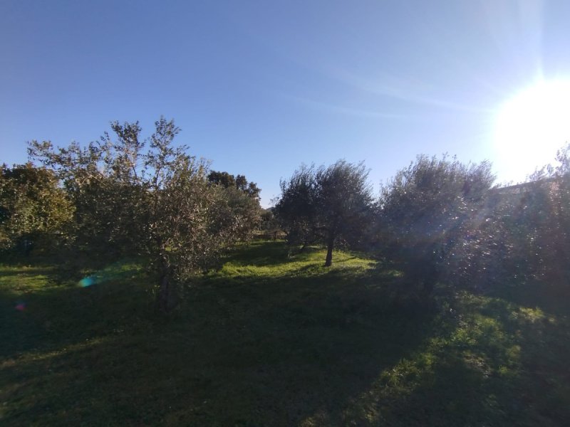 Agriturismo a Ischia di Castro