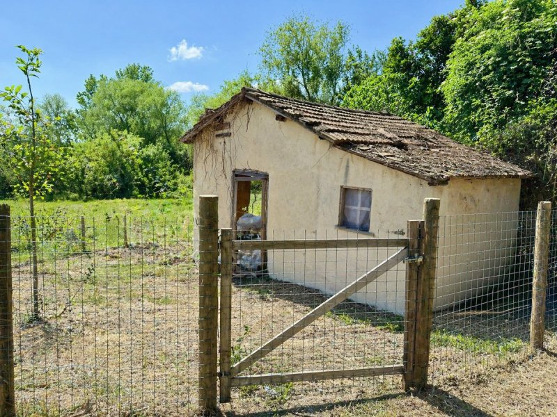 Landwirtschaftliche Fläche in Trevignano Romano