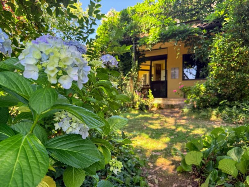 Detached house in Trevignano Romano