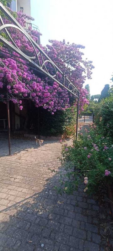 Appartement in Tarquinia