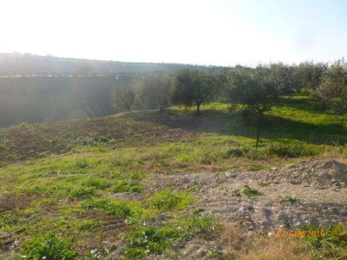 Terrain agricole à Mosciano Sant'Angelo