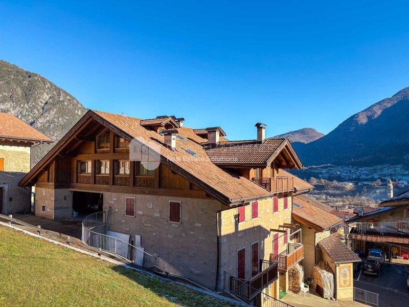 特伦托省蒂奥内阁楼