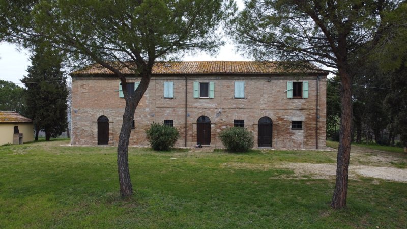 Farmhouse in Mondavio