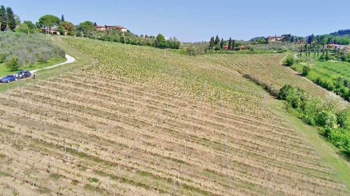Terreno agrícola em Certaldo