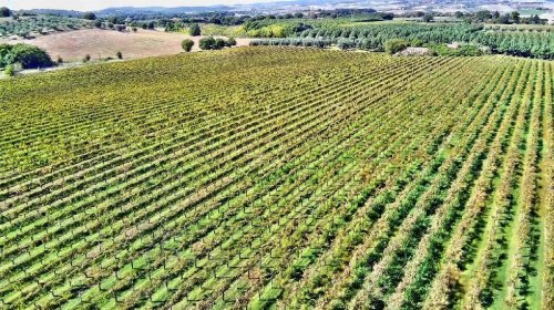 Agriturismo i Manciano