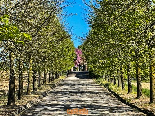 Masseria em Valenza