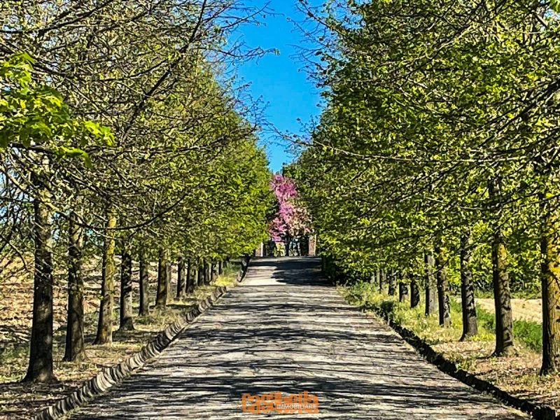 Masseria em Valenza