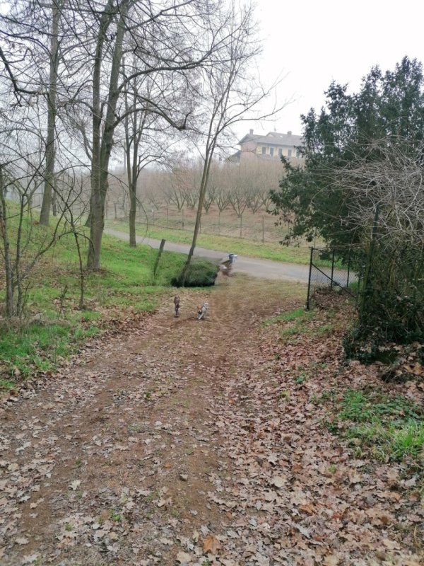 Semi-detached house in Rocchetta Tanaro