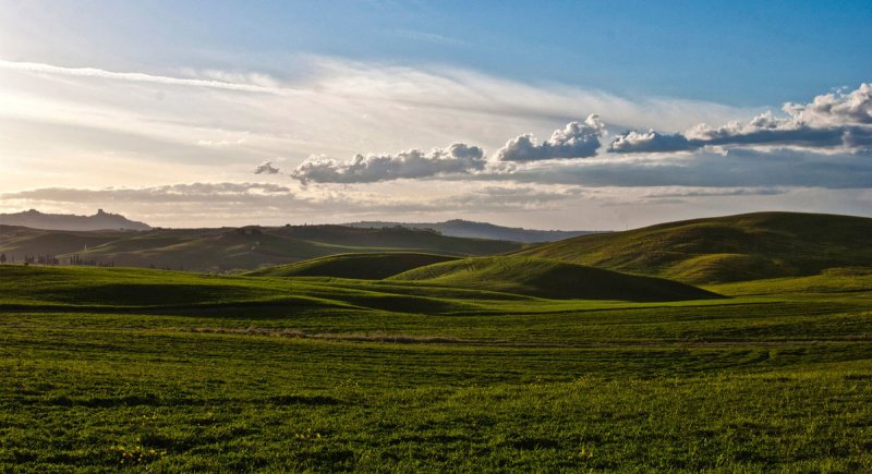 Boerenbedrijf in Montalcino