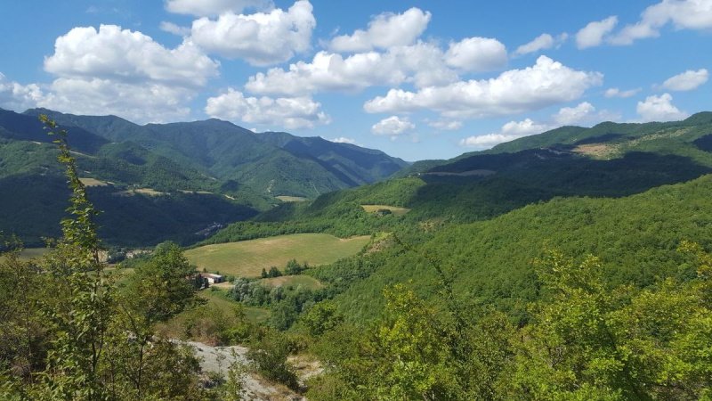 Поселок в Portico di Romagna